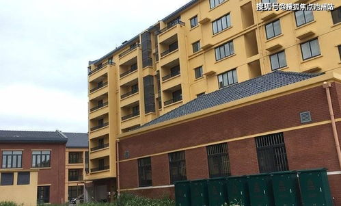 怎样查开房信息？实用指南与案例分析