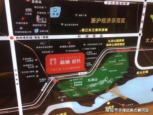怎样查开房信息？实用指南与案例分析