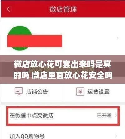 微店放心花一百套出攻略详解，真实案例助你轻松操作