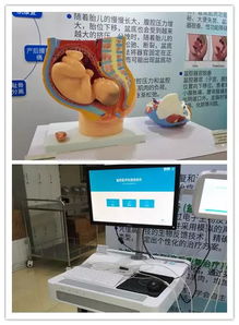 母婴监控品牌，守护宝宝成长的智能卫士