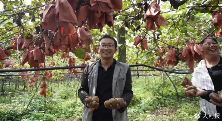 西峡种什么能致富，种植产业的选择与成功案例分析