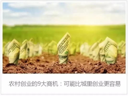 农村致富能人眼中的商机洞察