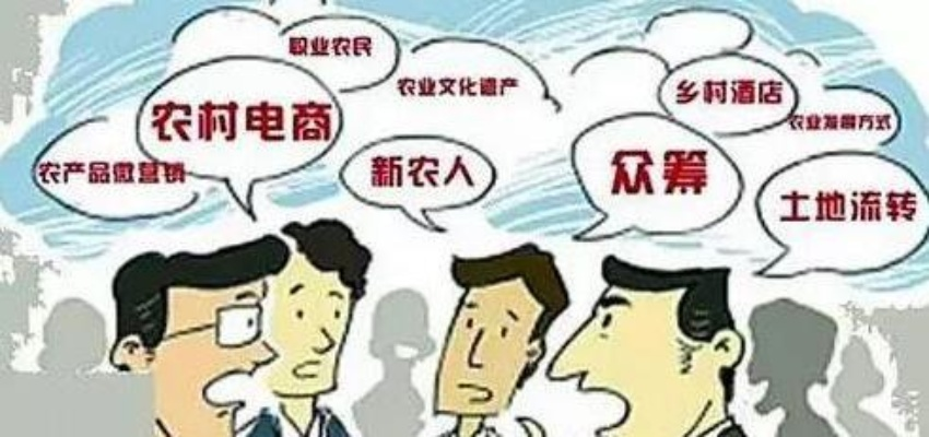 农村致富能人眼中的商机洞察