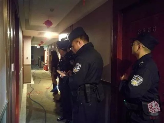 特警查酒店记录，原因、过程与必要性探究