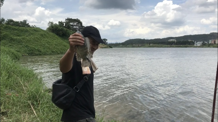 惠州钓鱼致富之道，探索鱼类资源与创业机遇