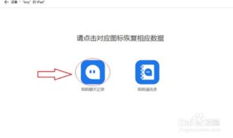 如何导出陌陌聊天记录，详细步骤与实用技巧