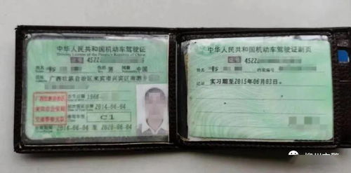 柳州交警查酒店记录查询解析