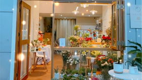 微店放心花店铺套出来怎么办？看我一一解析