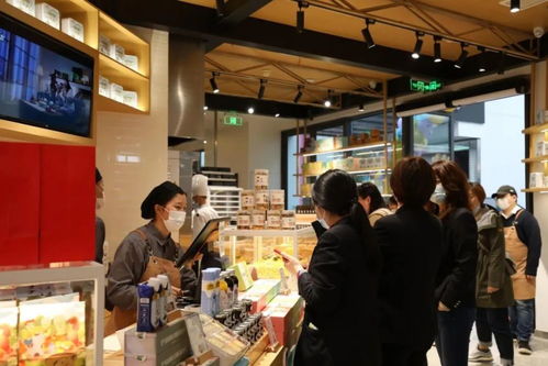 江苏如何投资餐饮品牌店