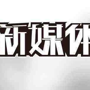 视频公众号做什么内容赚钱，策略、案例与实操指南