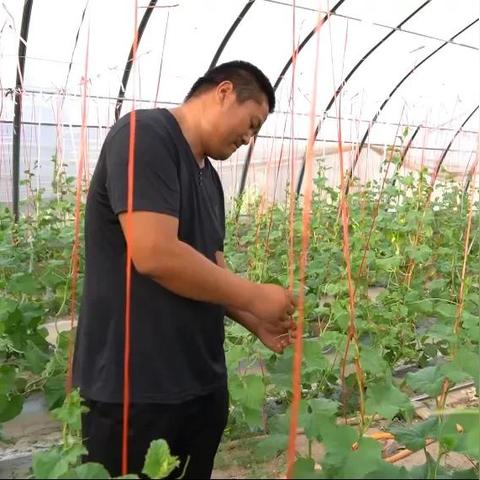 电脑品牌外形采购规范