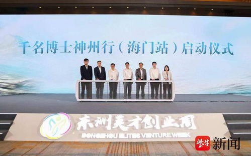 东洲创业项目中的公司概览