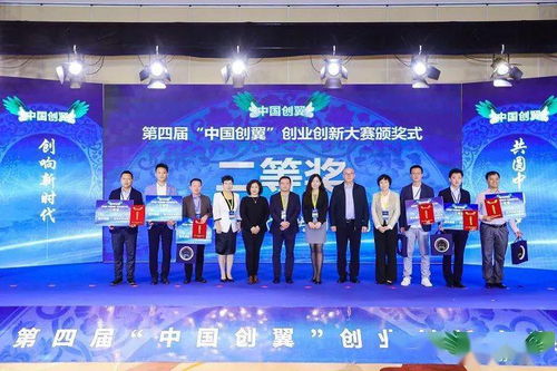 东洲创业项目中的公司概览