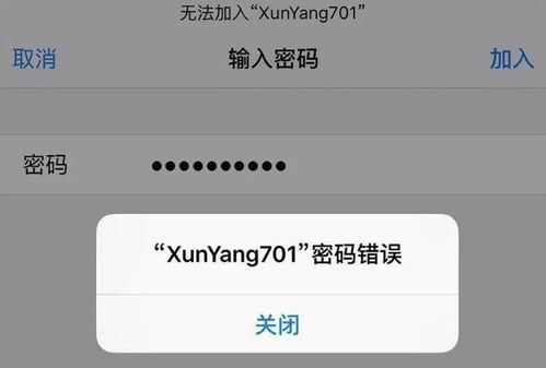 密码忘记了？教你轻松找回电脑里的聊天记录！