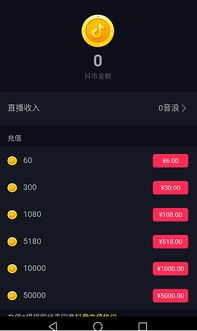 广州抖音月付取现攻略，揭秘月付用户如何轻松提现