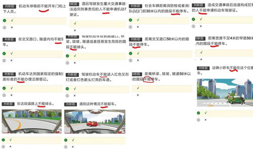 羊小咩便荔卡提现到账技巧大揭秘，轻松操作，快速到账！