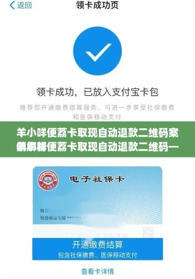 羊小咩便荔卡提现遇到问题怎么办？全方位解答及案例分享