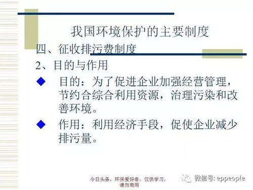 怎样才能把微店放心花套出来—实用指南与案例分析