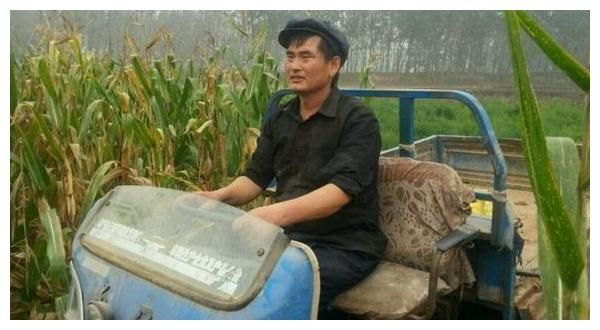 农村明星做什么赚钱的工作？探究农村艺人的职业选择与成功之路