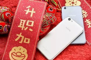 揭秘不让取现只能羊小咩便荔卡，你的钱包新宠！