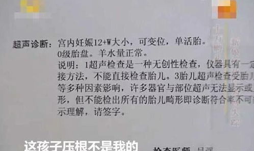 揭秘免费查开房记录，真相、风险与合法途径
