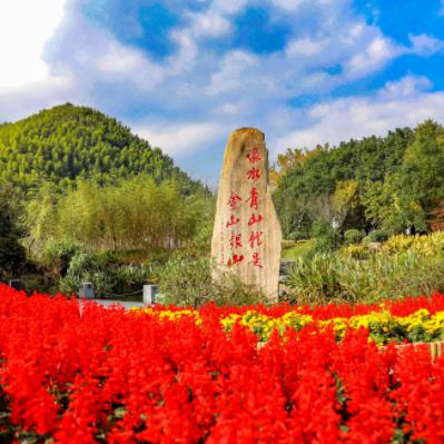 随意致富，理想与现实的微妙平衡