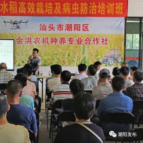 汕头致富之路，探寻最佳工作选择策略