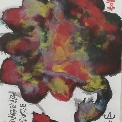 探索美丽新境界—氏化妆品品牌介绍