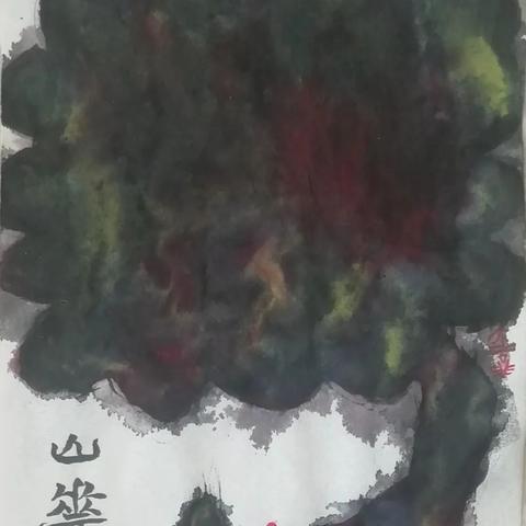 探索美丽新境界—氏化妆品品牌介绍