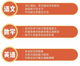 济南微店放心花套，深度解析费用与体验