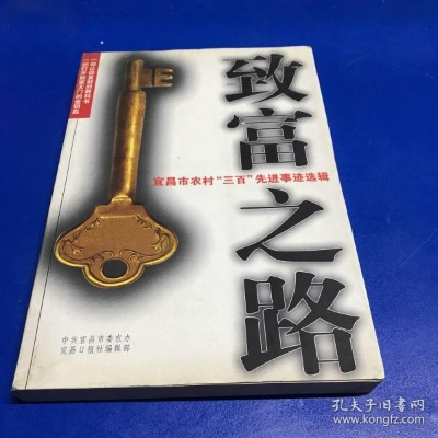 揭秘致富之路，完整歌词背后的故事与启示