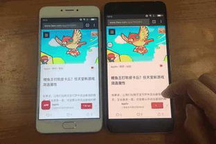 羊小咩便荔卡提现到手机，轻松操作指南！