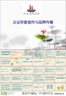 医药品牌推广方案PPT