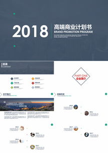 医药品牌推广方案PPT