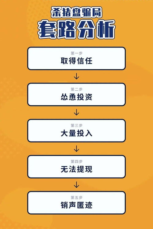 羊小咩便荔卡提现，钱去哪儿了？揭秘你的资金流向