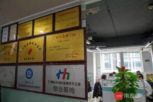 广州便利店微信分付套现案例，揭秘日常消费中的金融创新