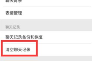 揭秘聊天记录删除之谜，谁能查到那些消失的对话？