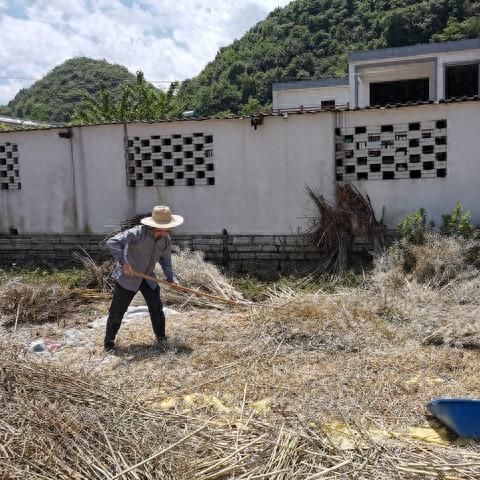 农村致富之路，探索赚钱新机遇