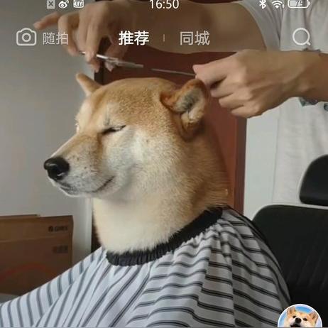 加盟嗖嗖外卖怎么样？深度解析给你听
