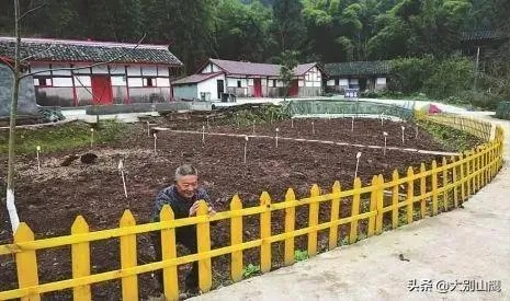 农村庭院致富项目大解析，探索乡村经济的无限商机