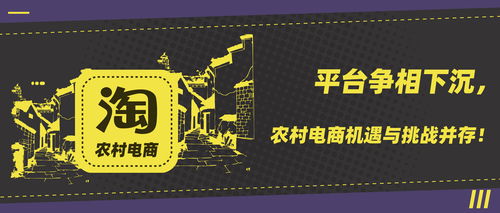 电商创业故事，挑战与机遇并存