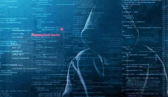 求黑客高手帮忙追款，能否实现理想与现实的博弈？
