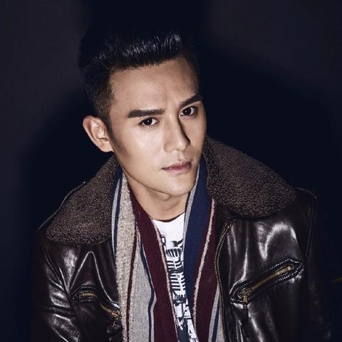 明星在武汉做什么赚钱，深度解析与实例探究