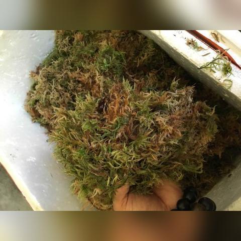 卖什么致富，探寻赚钱之路与成功案例