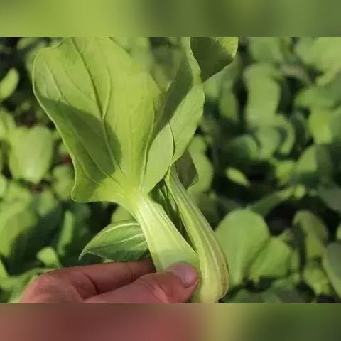 卖什么致富，探寻赚钱之路与成功案例