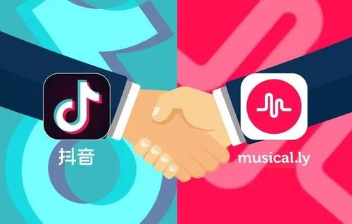 揭秘博山区抖音月付提现服务，轻松变现不是梦！