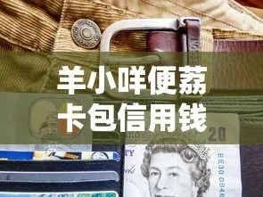 羊小咩便荔卡提现攻略，轻松到账，让你的钱袋子鼓起来！