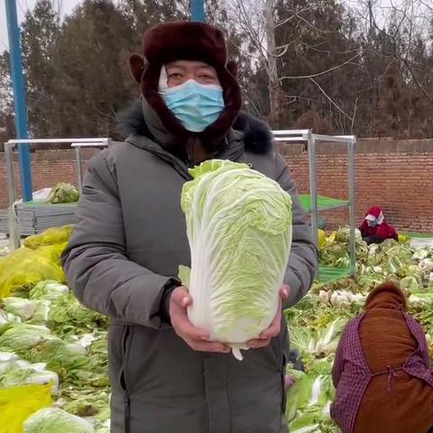 昆明特色火锅净菜加盟指南，从起步到成功，一站式解析加盟流程与要点