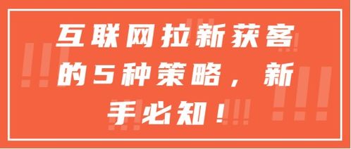 新手创业的缺点及其应对之策