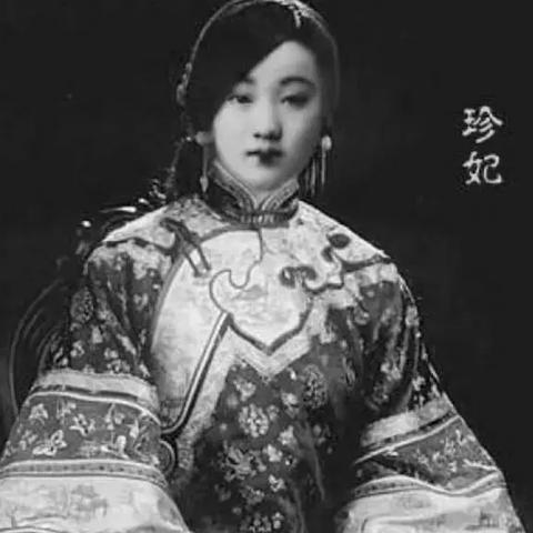 珍妃化妆品品牌介绍及案例分析